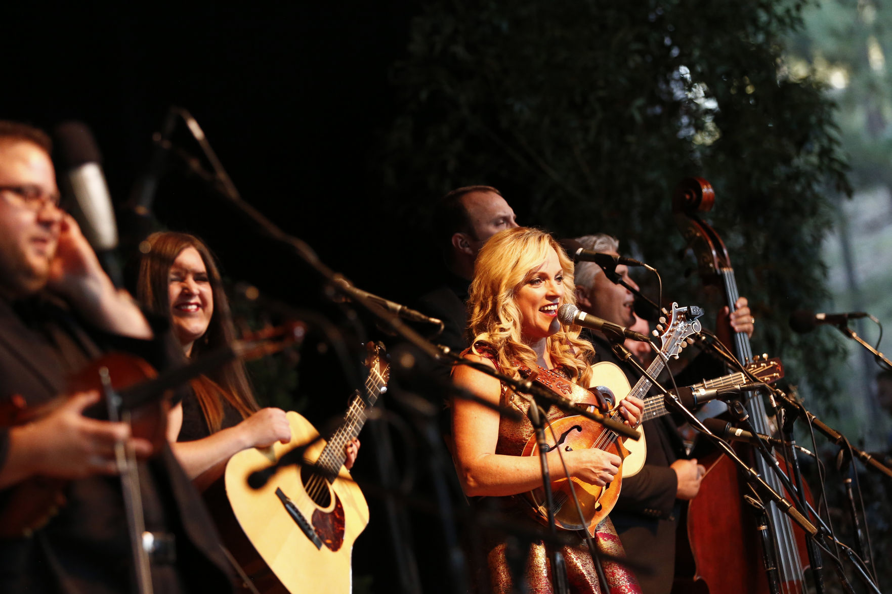 Pickin in the Pines